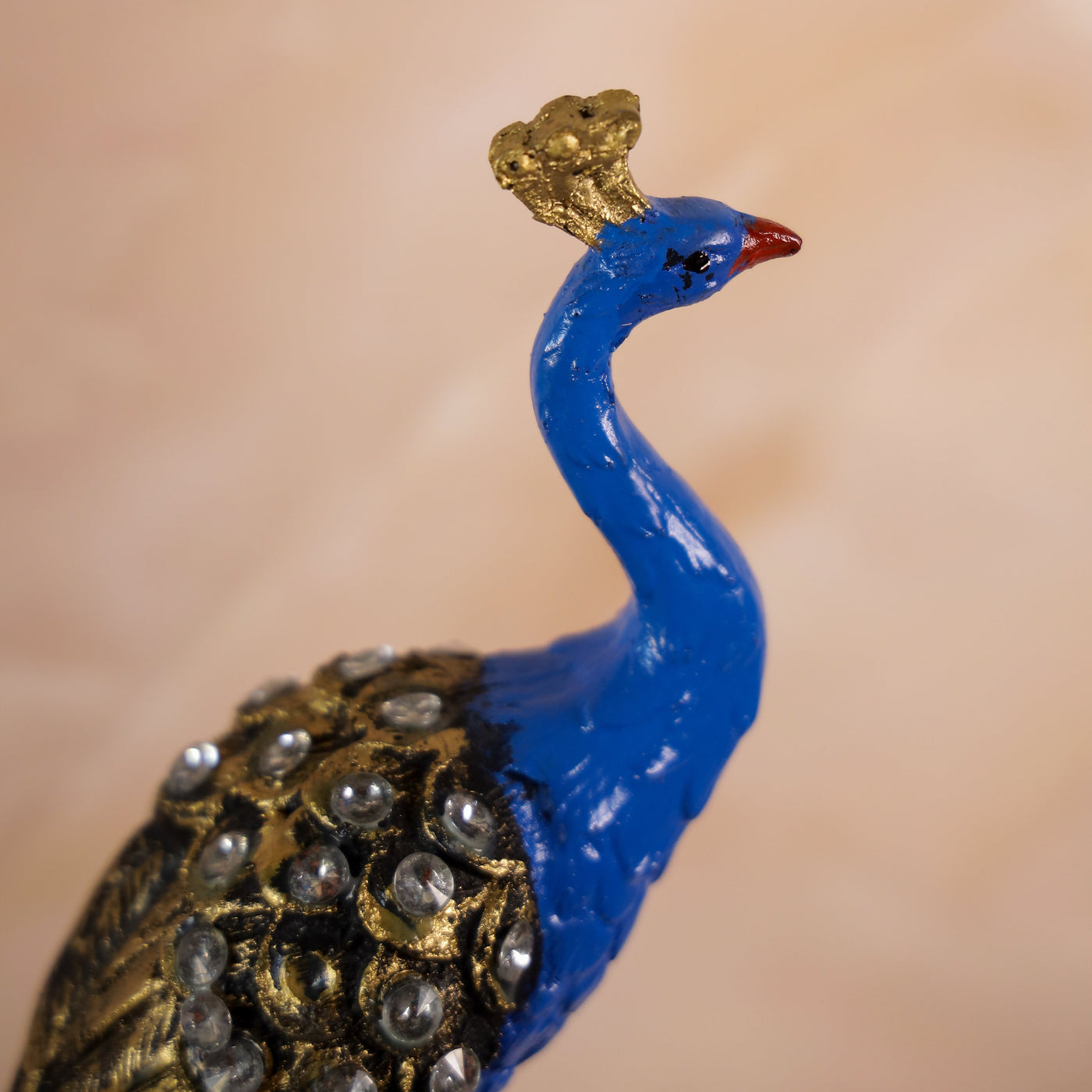 Elegant Peacock